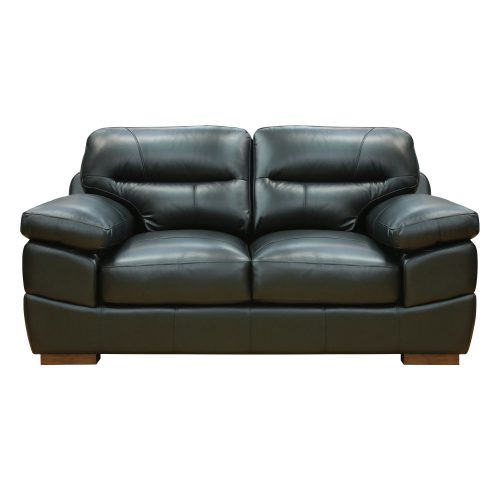 Jayson Loveseat in Black - Front view - SU-JH3780-200SPE
