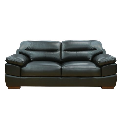 Jayson Sofa in Black - Front view - SU-JH3780-301SPE
