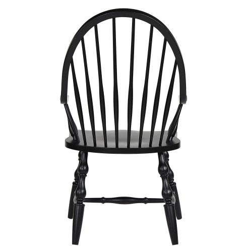 Windsor-Spindleback-Arm-Chair-Back-view-DLU-C30A-AB