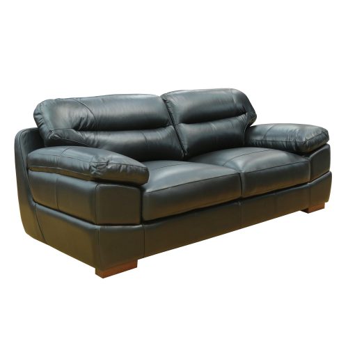 Jayson Sofa in Black - Three quarter view - SU-JH3780-301SPE