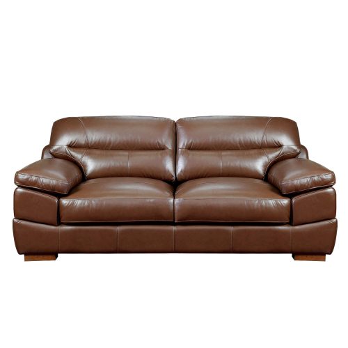 Jayson Sofa in Chestnut - Front view - SU-JH3786-301SPE